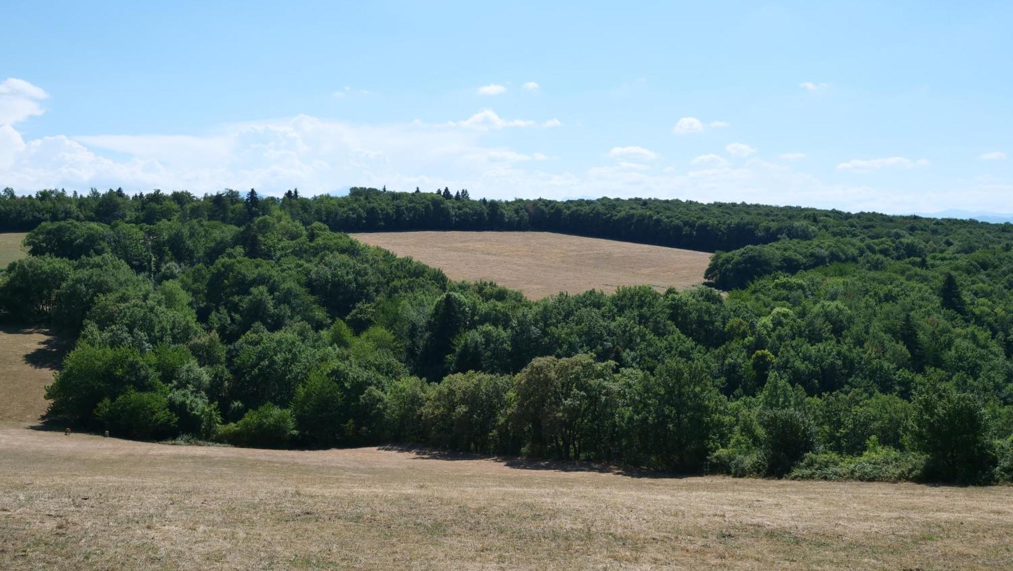 Maison Avec Vue Sur Le Lac De Montbel Kültér fotó